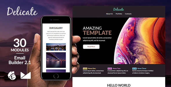 Preview 20delicate 20email template.  large preview