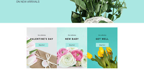 Box dreamy flora flower shop motocms ecommerce template 71470 original