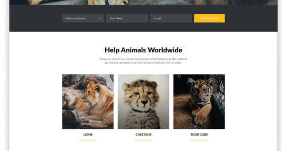 Box wildlife wild life multipage creative html website template 45961 original