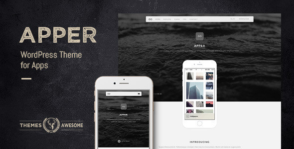 Apper feature themeforest.  large preview