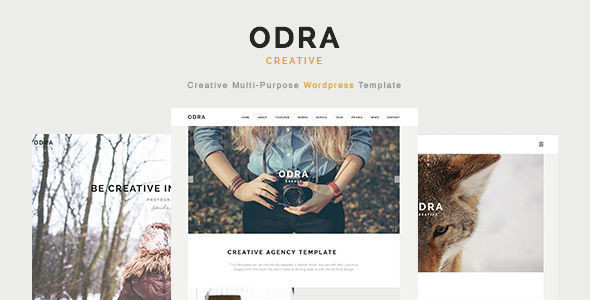 01 odra main image wp.  large preview