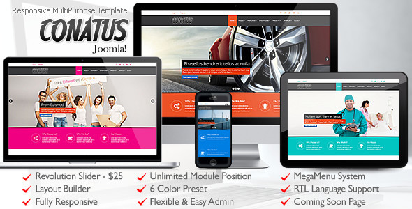 Conatus joomla preview.  large preview