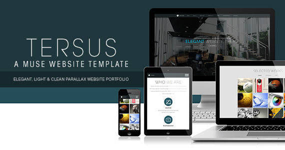 Box tersus business portfolio parallax muse template preview.  large preview